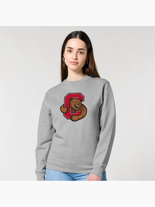 Sweater Dames - CORNELL UNIVERSITY C BEAR - Kiabi Sweater Dames - CORNELL UNIVERSITY C BEAR - Kiabi