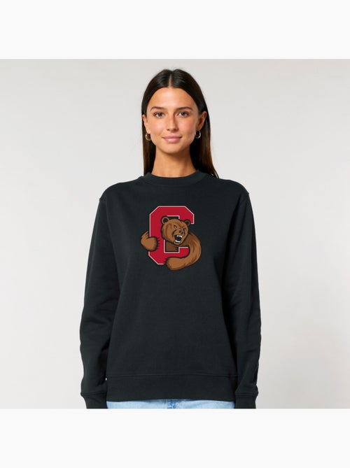 Sweater Dames - CORNELL UNIVERSITY C BEAR - Kiabi Sweater Dames - CORNELL UNIVERSITY C BEAR - Kiabi