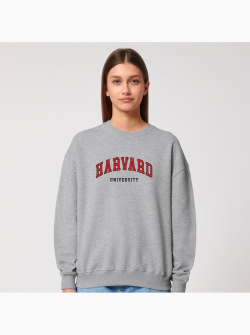 Sweater Dames - HARVARD UNIVERSITY - Kiabi Sweater Dames - HARVARD UNIVERSITY - Kiabi