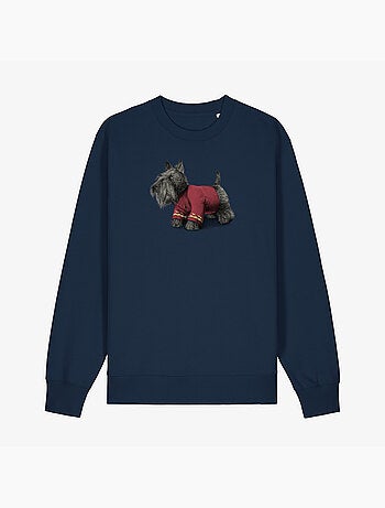 Sweater Dames - SCOTTY