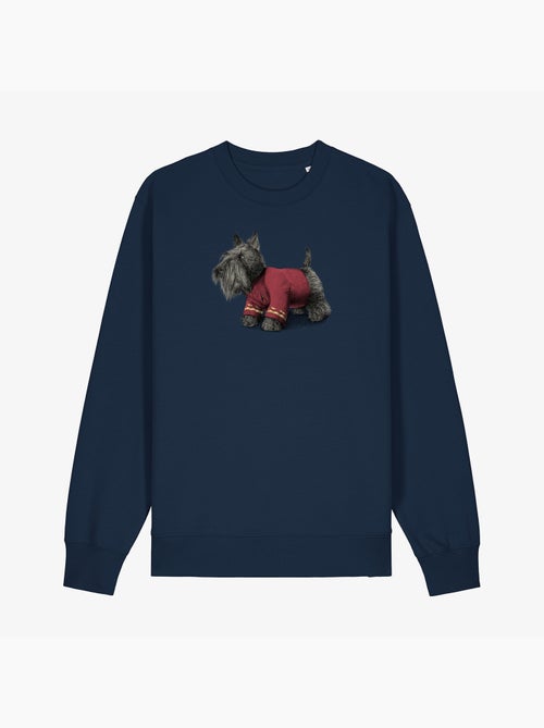Sweater Dames - SCOTTY - Kiabi Sweater Dames - SCOTTY - Kiabi