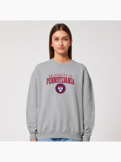 Sweater Dames - UNIVERSITY OF PENNSYLVANIA - Kiabi Sweater Dames - UNIVERSITY OF PENNSYLVANIA - Kiabi