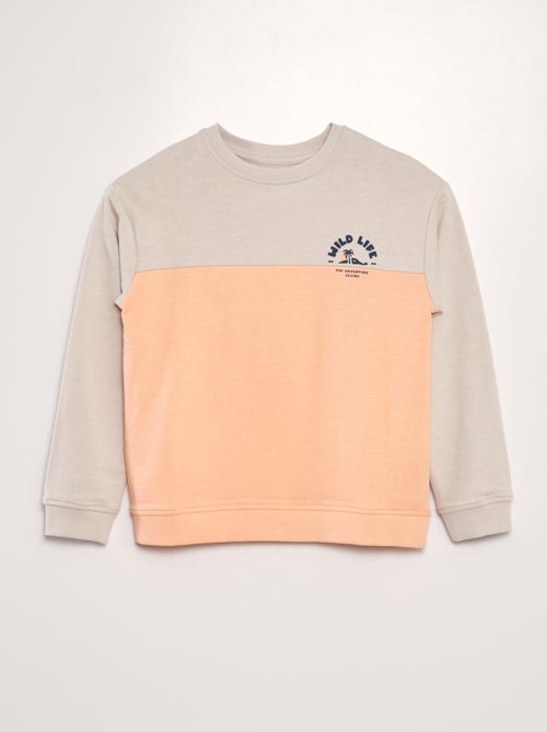 Sweater in french terry met colorblock - Kiabi