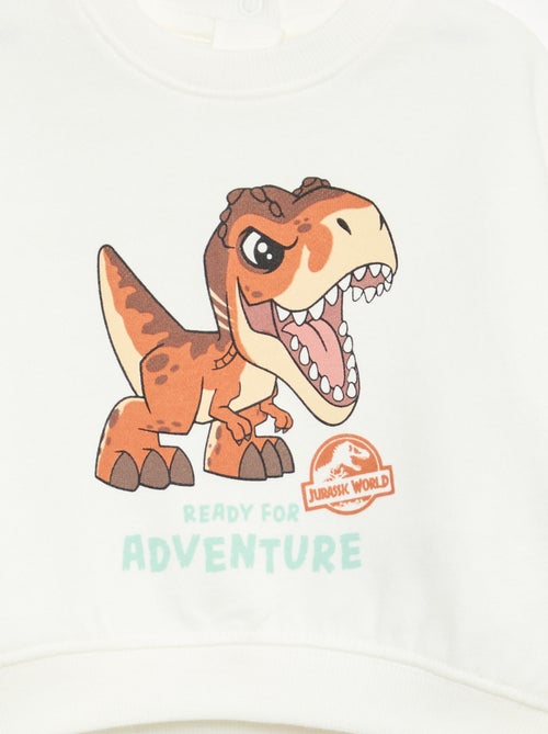Sweater 'Jurassic World' met contrasterende mouwen - Kiabi