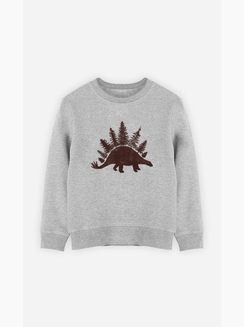 Sweater Kinder STEGOFOREST - Kiabi Sweater Kinder STEGOFOREST - Kiabi