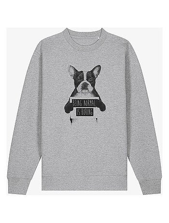 Sweater Man - BEING NORMAL IS BORING