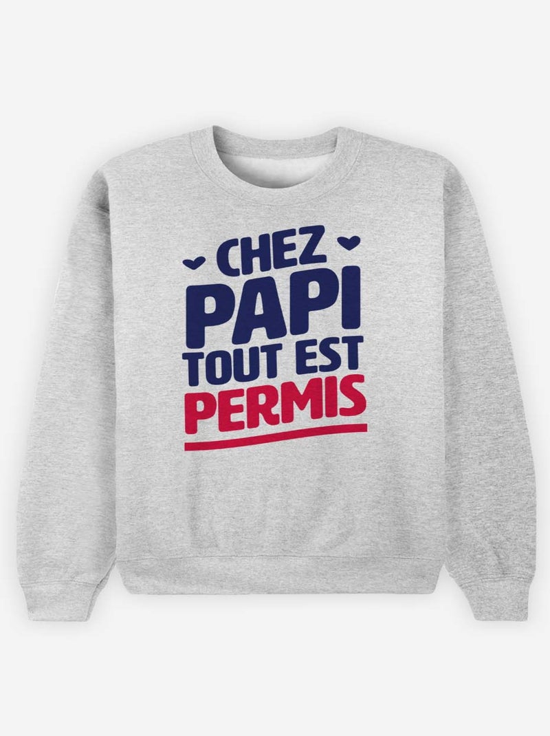 Sweater Man - CHEZ PAPI TOUT EST PERMIS Gemêleerd grijs - Kiabi