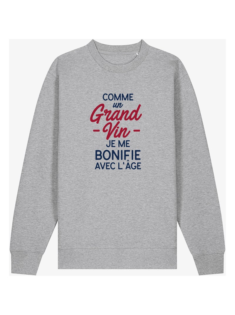 Sweater Man - COMME UN GRAND VIN JE ME BONIFIE AVEC L'ÂGE WAF Gemêleerd grijs - Kiabi