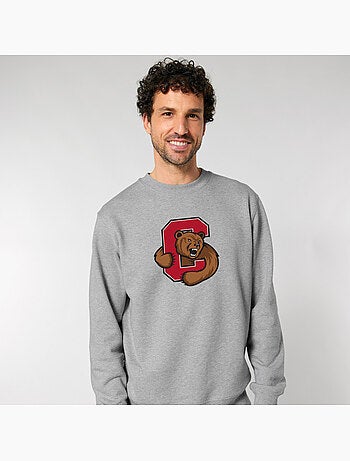 Sweater Man - CORNELL UNIVERSITY C BEAR