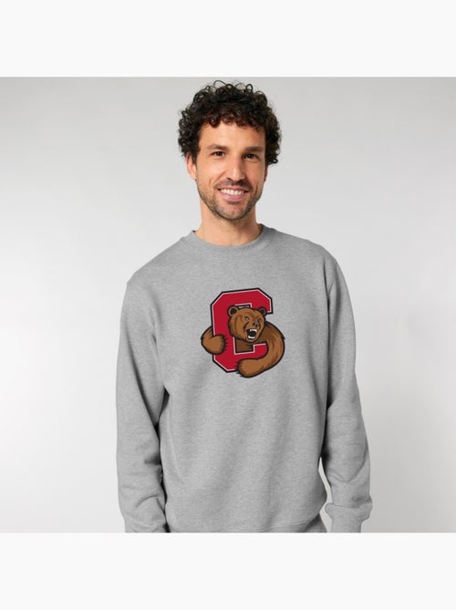 Sweater Man - CORNELL UNIVERSITY C BEAR - Kiabi Sweater Man - CORNELL UNIVERSITY C BEAR - Kiabi