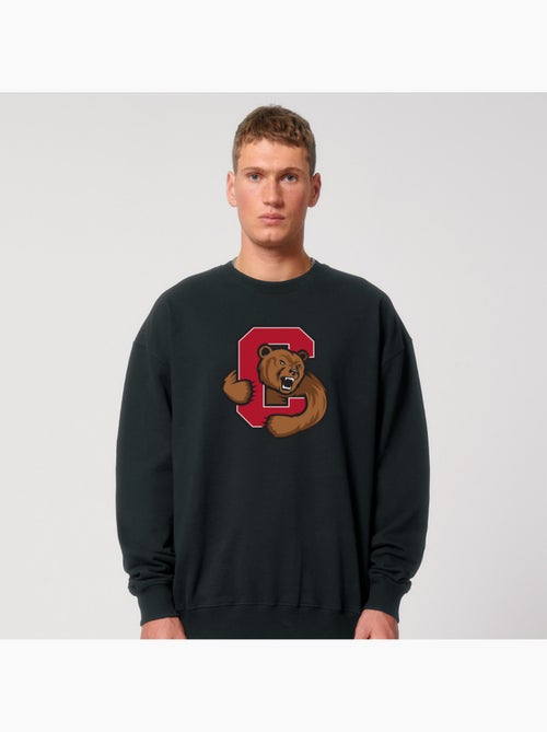 Sweater Man - CORNELL UNIVERSITY C BEAR - Kiabi Sweater Man - CORNELL UNIVERSITY C BEAR - Kiabi