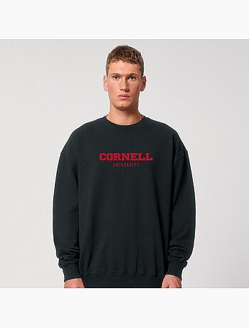 Sweater Man - CORNELL UNIVERSITY