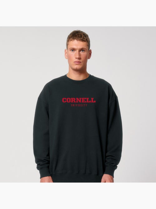 Sweater Man - CORNELL UNIVERSITY - Kiabi Sweater Man - CORNELL UNIVERSITY - Kiabi