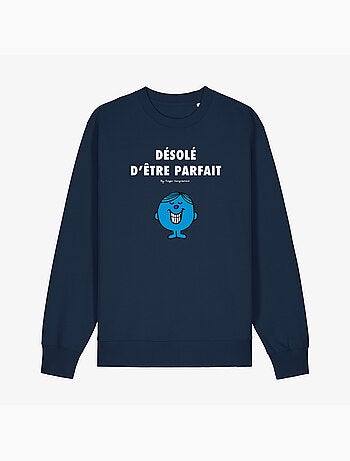 Sweater Man - DÉSOLÉ D'ÊTRE PARFAIT 2