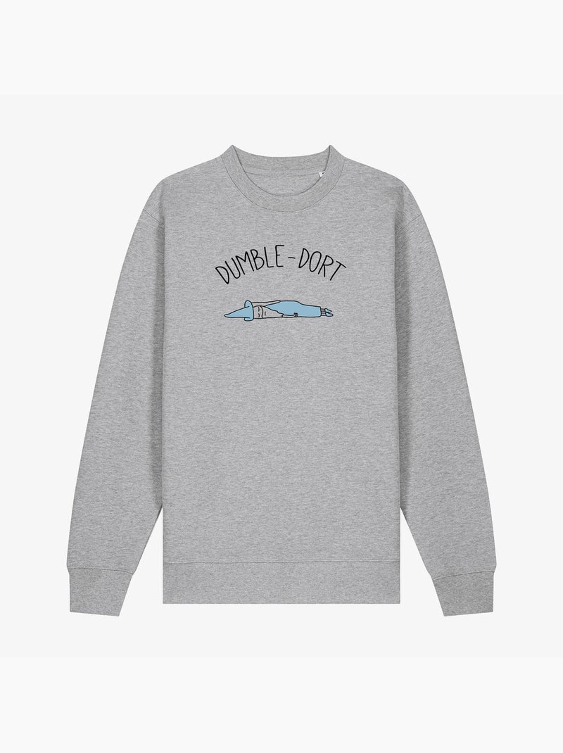 Sweater Man - DUMBLE DORT Gemêleerd grijs - Kiabi