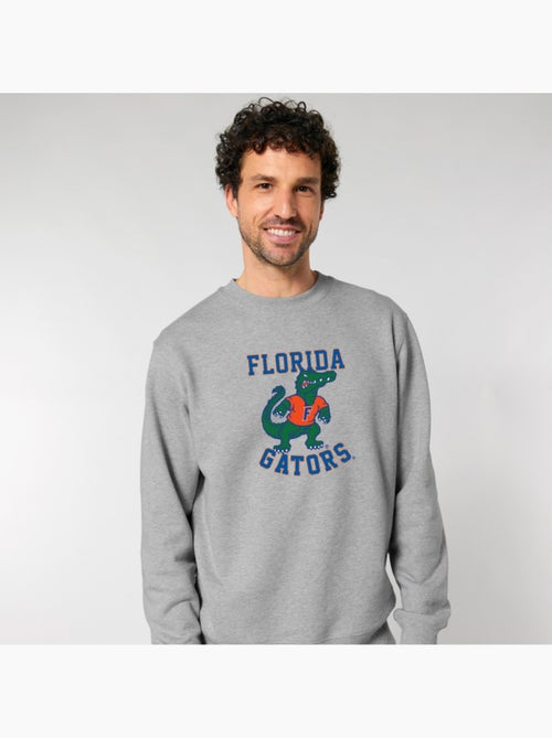 Sweater Man - FLORIDA UNIVERSITY ALLIGATOR - Kiabi Sweater Man - FLORIDA UNIVERSITY ALLIGATOR - Kiabi