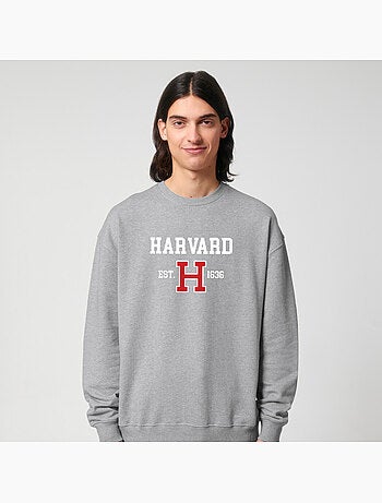 Sweater Man - HARVARD EST 1636