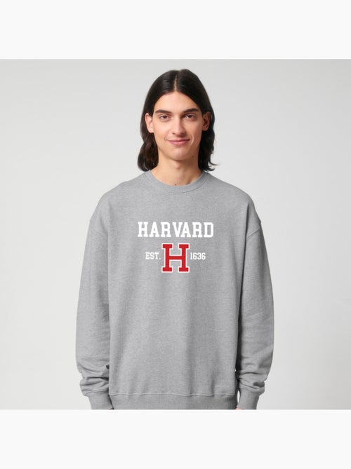 Sweater Man - HARVARD EST 1636 - Kiabi Sweater Man - HARVARD EST 1636 - Kiabi