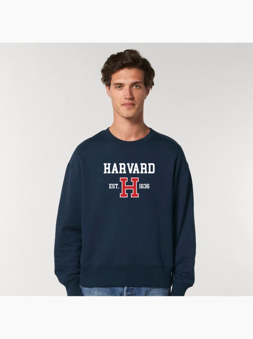 Sweater Man - HARVARD EST 1636 - Kiabi Sweater Man - HARVARD EST 1636 - Kiabi