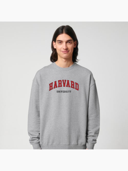 Sweater Man - HARVARD UNIVERSITY - Kiabi Sweater Man - HARVARD UNIVERSITY - Kiabi