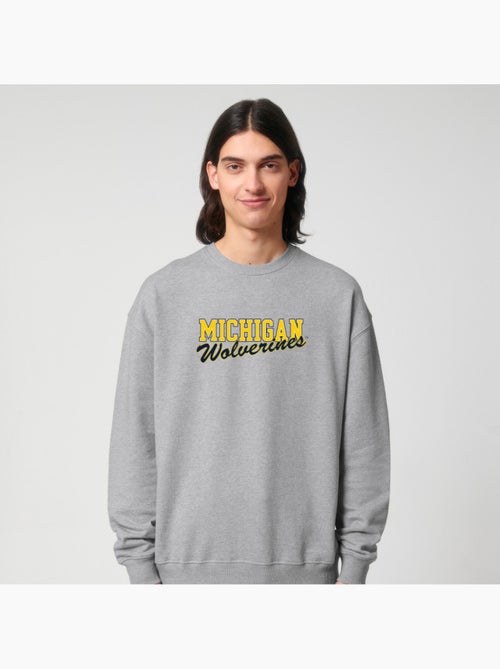 Sweater Man - MICHIGAN WOLVERINES - Kiabi Sweater Man - MICHIGAN WOLVERINES - Kiabi