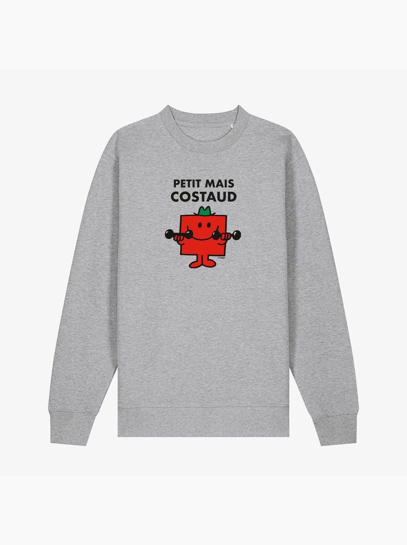 Sweater Man - PETIT MAIS COSTAUD Gemêleerd grijs - Kiabi