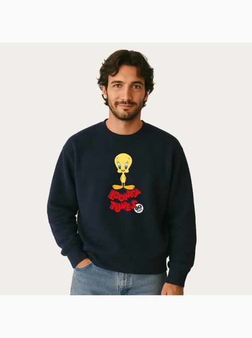 Sweater Man - TWEETY 80TH PORTRAIT - Kiabi