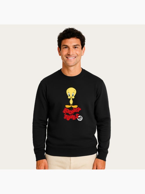 Sweater Man - TWEETY 80TH PORTRAIT - Kiabi