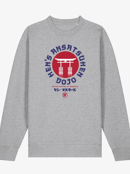 Sweater Man - UNITED STATES OF AMERICA STREET FIGHTER - Kiabi