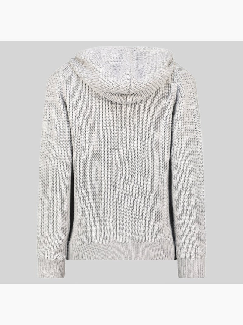 Sweater met capuchon flexibus – geographical norway Lichtgrijs - Kiabi