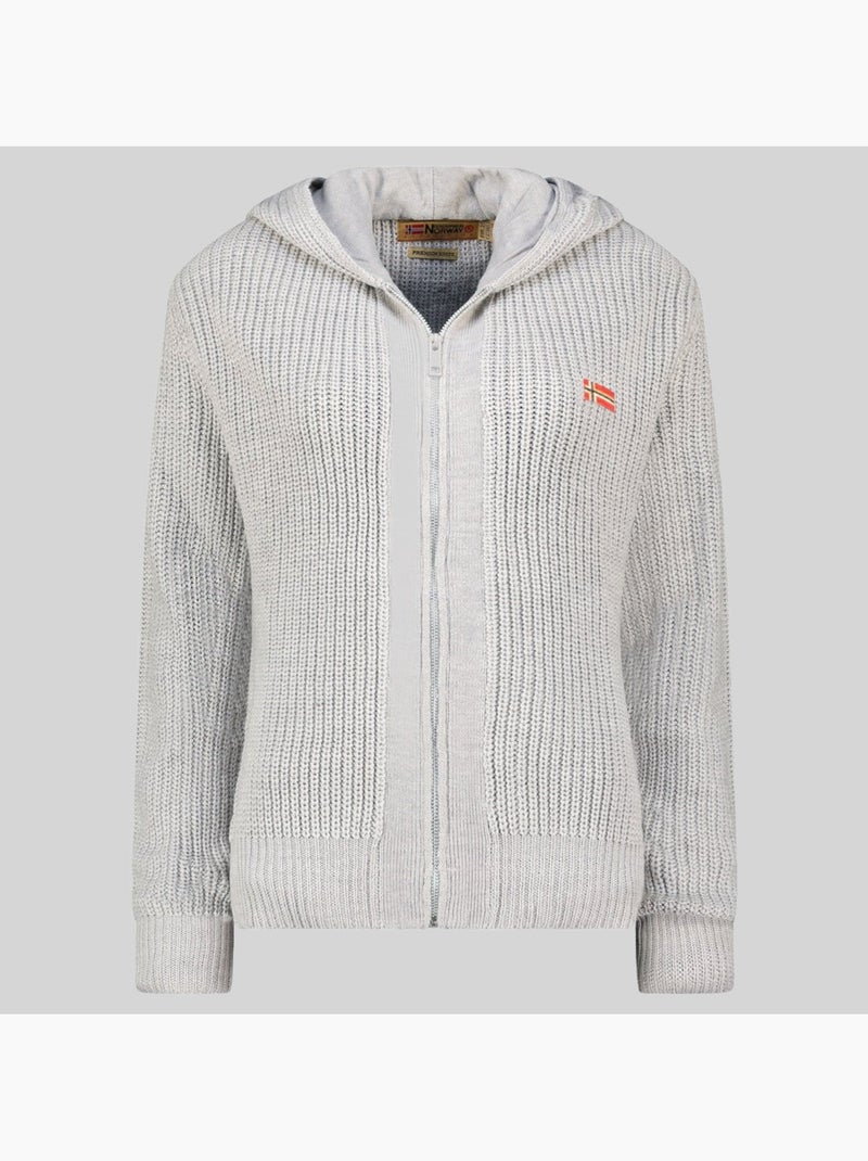 Sweater met capuchon flexibus – geographical norway Lichtgrijs - Kiabi