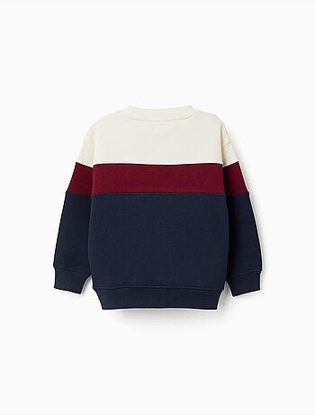 Sweatshirt van geruwd katoen met colour block