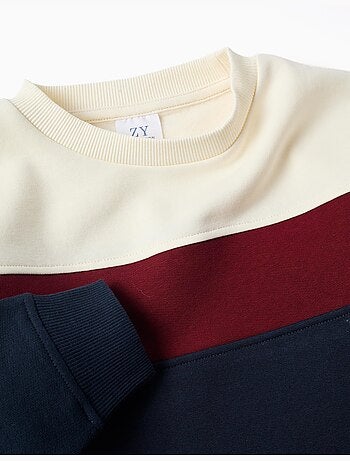 Sweatshirt van geruwd katoen met colour block