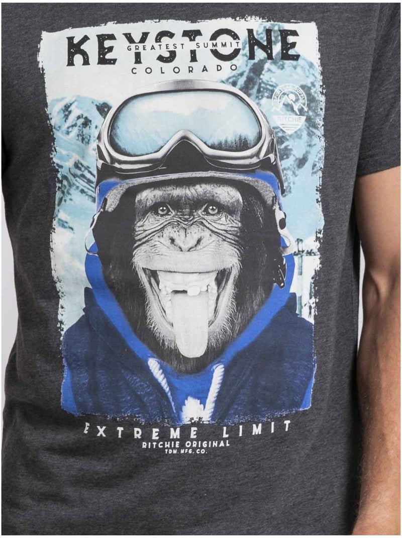 T-shirt col rond pur coton jacoski Gris foncé - Kiabi