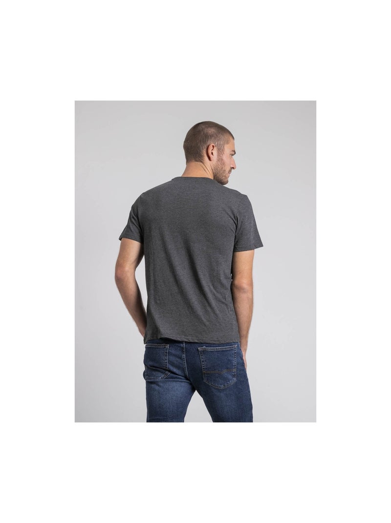 T-shirt col rond pur coton joakim Gris - Kiabi