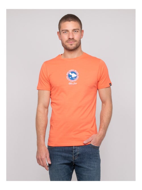 T-shirt coton motifs nantorin - Kiabi