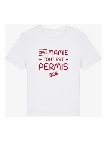 T-shirt dames - chez mamie tout est permis