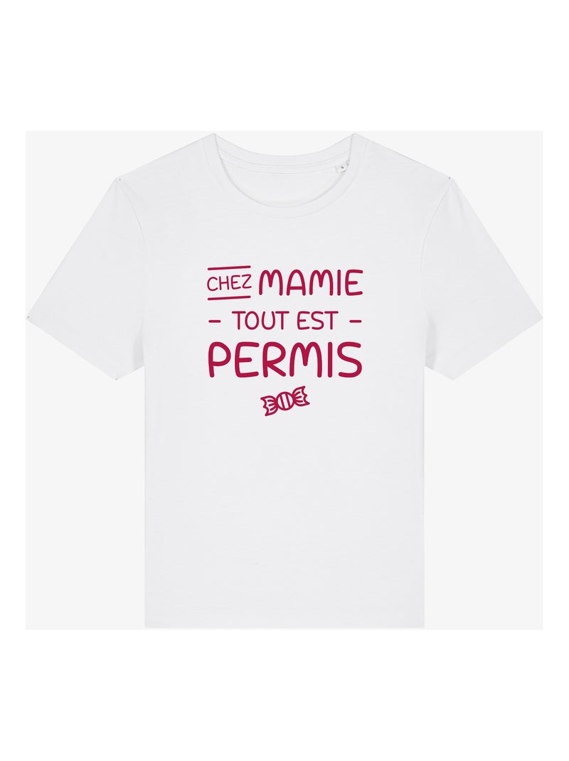 T-shirt Dames - CHEZ MAMIE TOUT EST PERMIS Wit - Kiabi