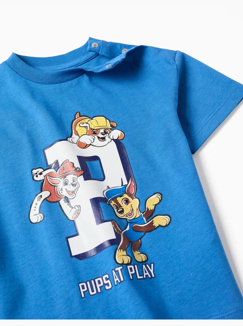 T-shirt en coton avec imprimé La Pat' Patrouille - Kiabi