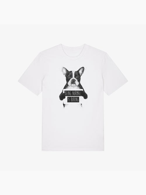 T-shirt Homme - BEING NORMAL IS BORING - Kiabi T-shirt Homme - BEING NORMAL IS BORING - Kiabi