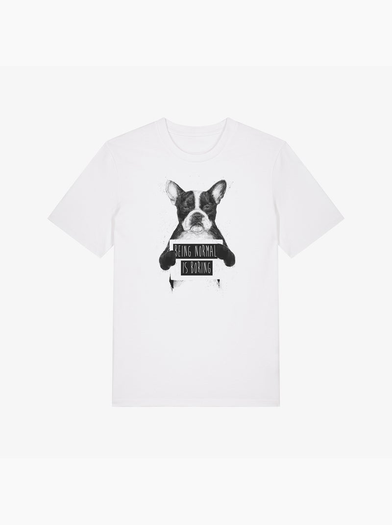 T-shirt Homme - BEING NORMAL IS BORING Blanc - Kiabi