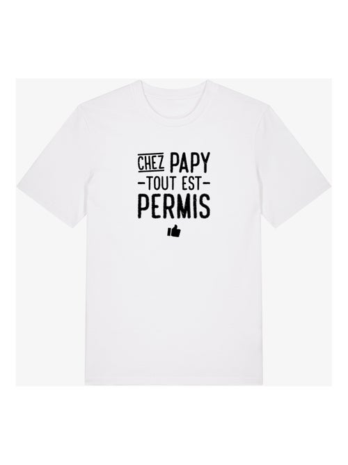 T-shirt Homme - CHEZ PAPY TOUT EST PERMIS - Kiabi