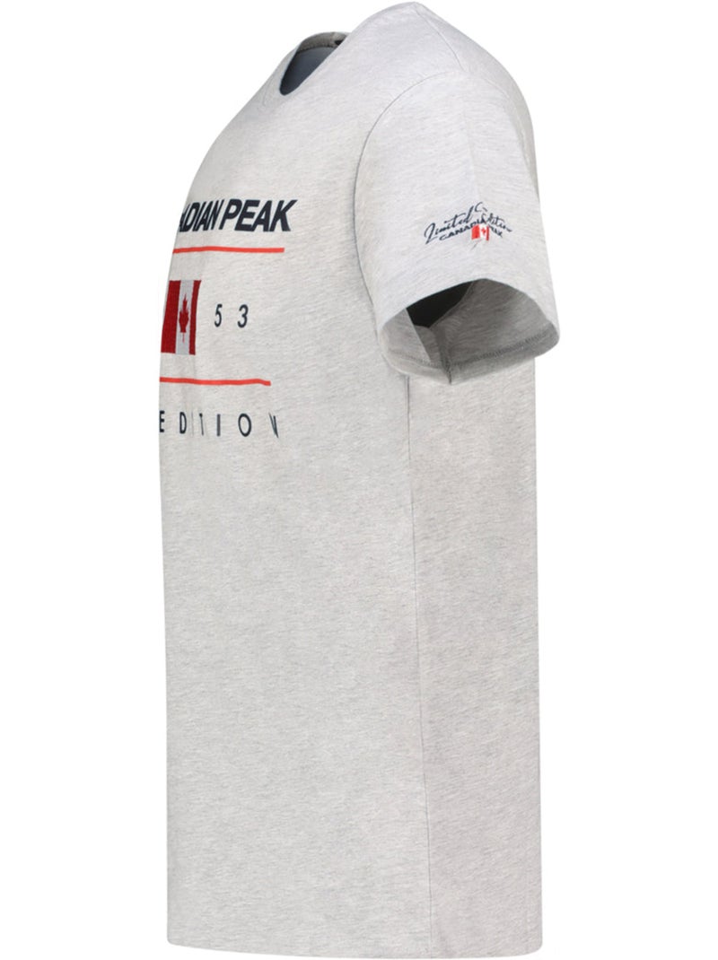 T-shirt imprimé jezoleak – canadian peak Gris clair - Kiabi