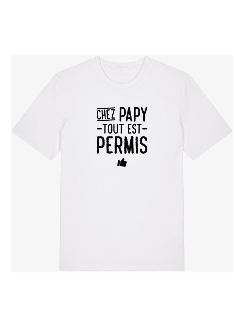 T-shirt Man - CHEZ PAPY TOUT EST PERMIS Wit - Kiabi