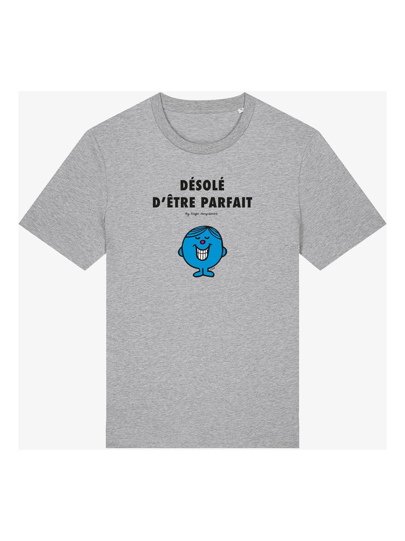 T-shirt Man - DÉSOLÉ D'ÊTRE PARFAIT 2 Gemêleerd grijs - Kiabi