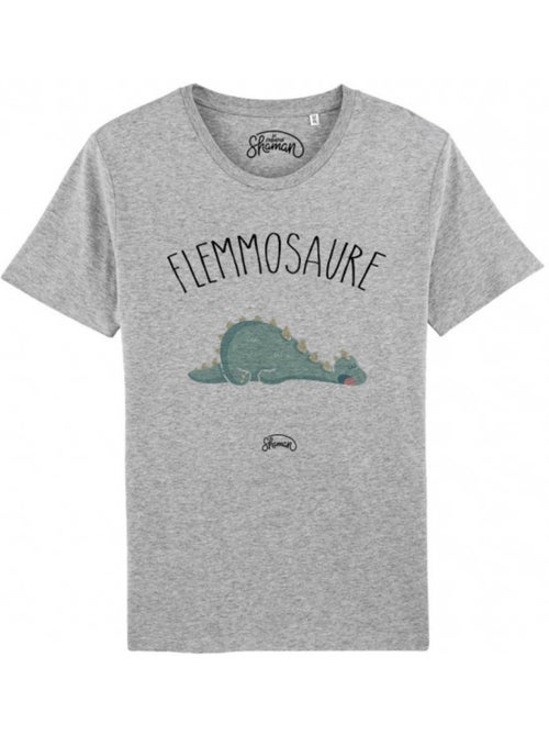 T-shirt Man - FLEMMOSAURE - Kiabi T-shirt Man - FLEMMOSAURE - Kiabi