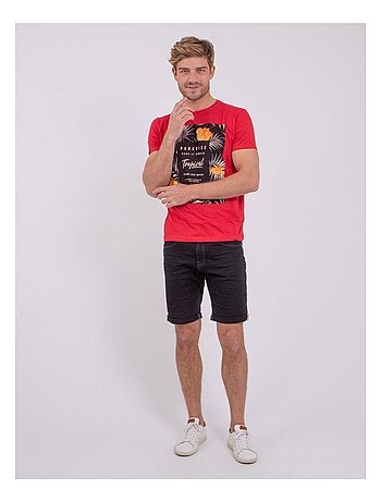 T-shirt manches courtes col rond pur coton NOCTAVIO
