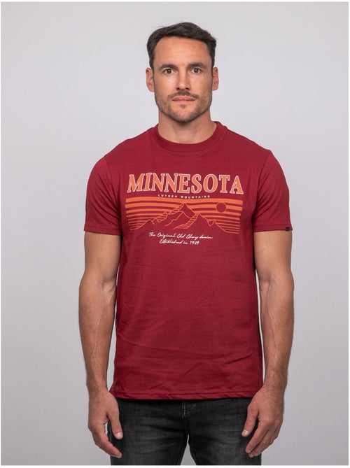T-shirt manches courtes coton motif montagne jampago - Kiabi