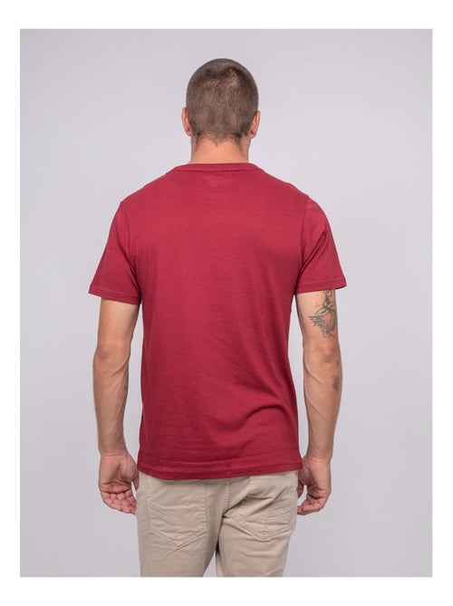 T-shirt pur coton à motif jablote - Kiabi