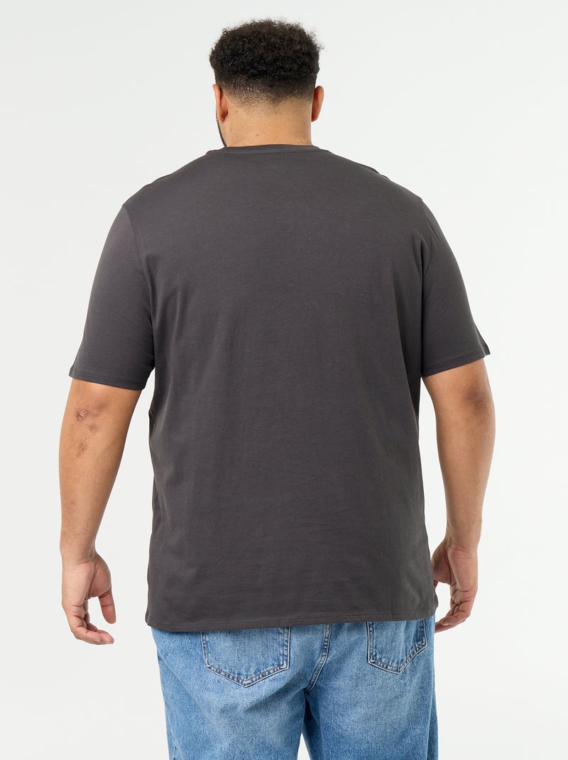 T-shirt van jerseytricot met print en korte mouwen Grijs - Kiabi